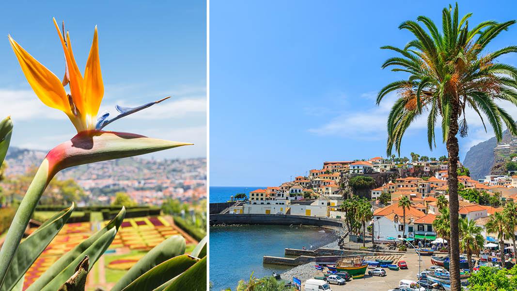 Funchal Havn, Madeira
